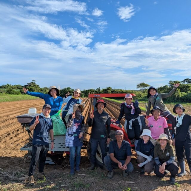 【サトウキビ植え付け体験＠向耀ファーム】

農業体験会の1回目、サトウキビ植え付け体験を実施しました。
ながーいサトウキビを機械に運び込み（これが結構重い！）、あとはひたすらにどんどん入れていく！
間が開かないように、どんどん入れていく！

機械で植えていきますが、たまに土が被っていないところがあり…
後ろから一人ついてきて、土を被せていくという作業もありました。

途中の休憩ではサトウキビをかじらせてもらったり(^^)
でもまだ収穫期ではないので、ほんのり甘いくらいでした。

最後は少し余った苗を、捕植（もし芽が出なかったときのため）用に手で植えて、完了！

今回は、サトウキビの「夏植え」での体験をしましたが、「春植え」もあり、春は収穫と重なる時期なので、人手不足が深刻なんです。
今回の体験を活かして（今回参加していなくても）、春の植え付けでサトウキビ農家さんへお手伝いに来て下さると嬉しいです…！

向耀ファームのみなさま、ご参加いただいたみなさま、ありがとうございました！！

#種子島 #農業体験 #サトウキビ #サトウキビ植え付け体験 #向耀ファーム #のっちーよ種子島