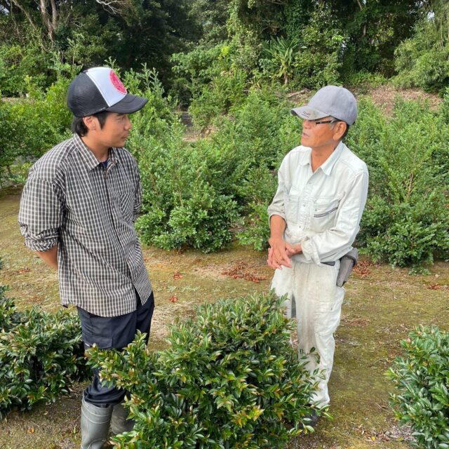 【就農移住体験】

種子島へ移住して農業したい！という想いで来られた神奈川県の しゅう さん。

農業は全く未経験で、どんな作物を栽培したら良いかも分からないので、色々な作物の農業体験をしたい、ということで10日間ほど来島されました。

↓↓しゅうさんが書いてくれた体験記です↓↓

「種子島へ移住して農業がしたい！ 夢を実現するための就農移住体験」

🔴自己紹介
神奈川県在住の35歳、ニックネーム「しゅう」
趣味はサーフィン、登山、釣り、家庭菜園

🔴参加した目的
昔から「種子島へ移住して農業をしたい」「種子島で子育てをしたい」という夢がありました。
移住前に実際の農業や島での暮らしを体験し、移住後のイメージをしたく参加をお願いしました。

🔴体験を通して感じたこと

① 島の農家はかっこいい

体験を通してまず感じたのは、「島の農家は本当にかっこいい」ということです。
農業という自由で広い枠組みの中で、それぞれの農家さんが独自の栽培方法やスタイル、考え方を持ち、自分の農業を実践している姿に強く惹かれました。

農業だけでなく、大工作業、機械整備、土木工事、漁など、なんでもできる方が多く、まさに「百姓＝百の仕事」という言葉を体現しているようでした。
専門化が進んだ現代とは逆に、多様な技術を持つ島の農家の方々の姿に憧れ、自分もそんなふうになりたいと思いました。

② 島の人も、島の自然も懐が深い

体験を通して、芋類・果菜類・果樹・枝物・南国フルーツなど、様々な作物を見ることができました。
これだけ多様な作物が育つのは、種子島の自然環境の懐の深さだと感じました。
また、「本気で農業をやりたいなら協力するよ」と言ってくださる農家さんも多く、外から来た方を温かく迎えてくださる島の人々の懐の広さも感じました。

③ 人間らしい暮らし

朝から夕方まで畑で汗を流し、夜は真っ暗になります（星が綺麗です）
自然と眠くなり、心地よい疲れとともにぐっすり眠る
暗くなれば眠り、明るくなれば起きる。そんな“人間本来のリズム”を久しぶりに感じることが出来たような気がします。
島の人たちとの関わりの中でも、どこか懐かしいような、忘れていたような、温かさを感じました。

④ 移住・就農のイメージが見えた

農業体験を通して、就農までの道筋や就農後の生活イメージが少し具体的になりました。
作物ごとに様々な農家さんの現場を体験できたことで、今後どんな作物を育てたいかを考える良い材料にもなりました。
また、古民家をお借りして生活させていただいたことで、島での暮らしのリアルな雰囲気も体感できました。

⑤ 最高の環境

一日畑で汗を流したあと、夕日を浴びながら海でサーフィンをする、その時間は本当に最高でした。
海釣り・川釣り・磯遊び・家庭菜園、美しい景色や海、そして何より温かい人々。
種子島は確かに田舎ですが、自分にとっては都会よりもずっと「なんでもある」場所だと感じました。
こんな素敵な土地で、家族（出来れば犬と猫も一緒に！）と暮らせたら、本当に幸せだと思います。

🔴感謝
農家さんをご紹介くださった行政の方々、体験を受け入れてくださった農家の皆様、本当にありがとうございました。
古民家を貸してくださったり、ご飯をご馳走になったり、空き家を案内してくださったり、知人を紹介してくださったり……
移住や就農のサポートを申し出てくださるなど、皆さんの温かさに心から感謝しています。

農業の楽しさだけでなく、決してきれいごとではない大変な現実も教えていただき、それでも「この道を進みたい」という気持ちはより強くなりました。
短い期間でしたが、本当に貴重で充実した時間でした。
また移住した際は、ぜひよろしくお願いいたします。

#種子島 #農業体験 #就農移住体験 #島暮らし体験 #農業始めたい