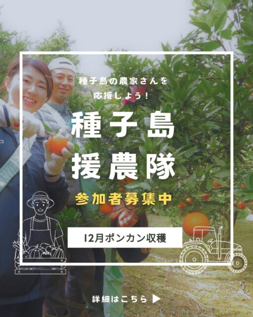 【種子島援農隊】参加者募集！（11/26募集終了しました）

のっちーよ種子島では、新たに「種子島援農隊」プロジェクトを開始しました。

種子島の農業や農家さんを応援したい！という方のご参加をお待ちしています！

まず第一弾は12月、冬の種子島の人気柑橘「ポンカン」の収穫お手伝いです。

時給：1,050円

期間：12月10日頃～12月25日頃
※島外の方は最低1週間以上
※島内の方は期間内飛び飛びでも大丈夫です

場所：種子島・南種子町平山（種子島イチの柑橘生産地です！）

その他：島外からの方は、空き家に宿泊していただくことも可能です。詳しくはご連絡ください。

気になる方は、まずはDMください！

#種子島援農隊 #種子島 #援農 #ポンカン収穫 #みかん収穫 #農業 #農業バイト #農家さんを応援