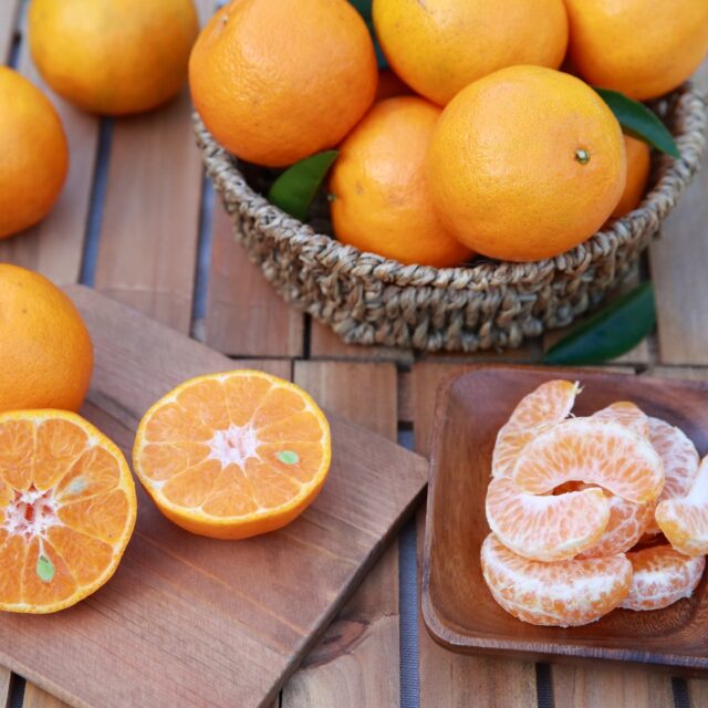 ふるさと納税はお済みですか？

のっちーよ種子島では、複数の生産者とコラボして、種子島の【旬鮮セット】をふるさと納税に出品しています！

12月は、島内ブラントの「平山ぽんかん」の出荷時期となっています🍊

また、安納芋も収穫して1カ月ほど置き、甘さが増してきています！

今年度の旬鮮セットのお申し込みは12月末までとなっていますので、お忘れなく♡

★旬鮮セット 全2回 
・安納いも 
・ポンカン

★旬鮮セット 全3回 
・安納いも 
・スナップエンドウ 
・タンカン

★平山みかんの定期便 （こちらが人気です！）
・ポンカン 
・タンカン

寄付のお申し込みは「ふるさと納税　南種子町」で検索いただくと、様々なふるさと納税サイトが出てきます。