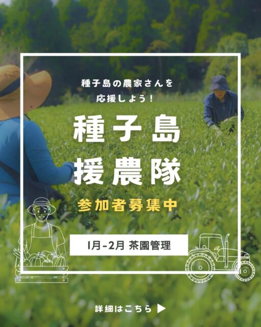 【種子島援農隊】参加者募集！

のっちーよ種子島では、新たに「種子島援農隊」プロジェクトを開始しました。

種子島の農業や農家さんを応援したい！という方のご参加をお待ちしています！

第ニ弾は1月〜2月、のっちーよ種子島でよくお世話になっている、坂本茶業さんのところで、「お茶」の茶園管理のお手伝いです。

時給：1,050円

期間：1月下旬頃～2月下旬頃
※島内在住者のみ

場所：種子島・西之表市古田

その他：ご興味ある方はまずDMください！

#種子島援農隊 #種子島 #援農 #農家さんを応援 #お茶