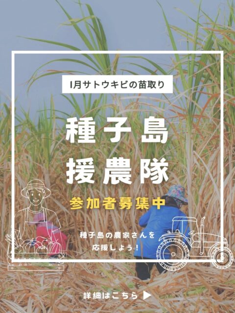 【種子島援農隊】参加者募集！

のっちーよ種子島では、新たに「種子島援農隊」プロジェクトを開始しました。

種子島の農業や農家さんを応援したい！という方のご参加をお待ちしています！

第3弾は1月、種子島の基幹産業である「サトウキビ」の苗取りのお手伝いです。

時給：1,125円

期間：1月10日頃～1月15日頃
※島内在住者のみ

場所：種子島・西之表市住吉

その他：ご興味ある方はまずDMください！