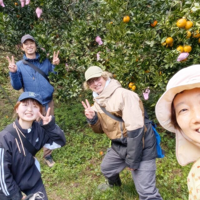 土と心がつながる、のっちーよ農縁体験

農家の暮らしを体験する農園体験と、つながりを意味する「縁」を掛け合わせた、のっちーよ種子島ならではの農業体験プログラムです。

この日は千葉県から、種子島に親戚がおられるというNさまにご参加いただきました！

しんさく農園を指定！ということで、タンカンの農作業を体験いただきました🍊
収穫が始まる前の、色づきを促進するための布を被せる作業でした。

作業しながらたくさんお話して、お話が盛り上がりすぎて体験時間を大幅にオーバーしてしまいました💦

休憩時間にもお茶を飲みながら、膝を突き合わせて深く対話をすることができ、お互いにとても良い時間になりました◎

ご参加いただき、ありがとうございました！

@shinsaku.nouen 

#農業体験 #農園体験 #種子島 #たんかん #農家さんと繋がりたい