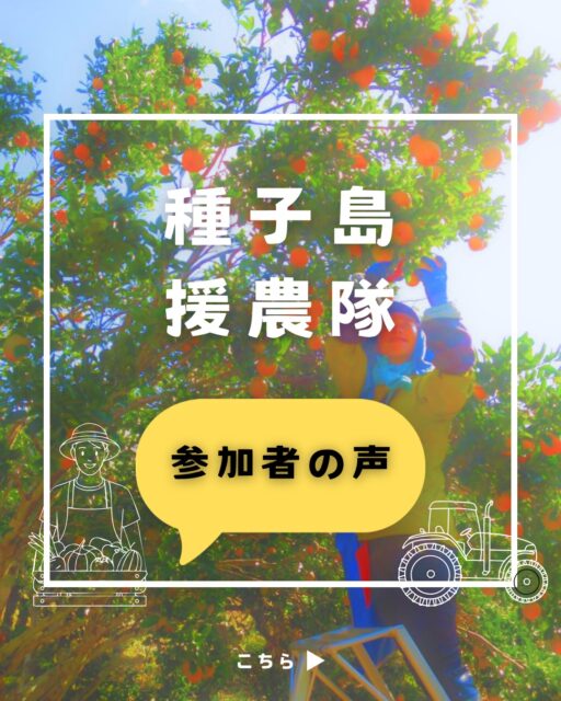 同じ島に住んでいるのに、
まだ知らないことがある。

やってみると、
思っていたより大変で、
思っていたより楽しい。

#種子島援農隊 #のっちーよ種子島 
#農家さんと繋がりたい #農家さんを応援したい