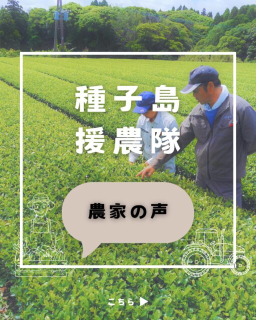 人手が必要なときに、
少しだけ人が動く。

そんな流れが、少しずつできてきました。

この仕組みを一緒に広げてくれる
農家さんを募集しています。

まずは、お話だけでも大丈夫です。

#種子島援農隊 #地域で回る仕組み #のっちーよ種子島