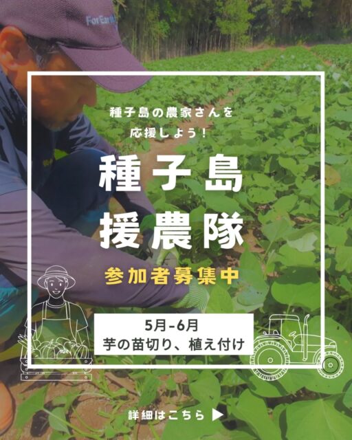 【種子島援農隊】参加者募集！

種子島の農業や農家さんを応援したい！という方のご参加をお待ちしています！

5月〜6月、種子島特産の安納いもをはじめとする、さつまいもの苗切りや植え付けのお手伝いです。

時給：1,026円～1,050円

期間：5月中旬頃～6月中旬頃
※島外の方は最低1週間以上
※島内の方は期間内飛び飛びでも大丈夫です

場所：種子島・中種子町野間/南種子町上中

その他：島外からの方は、空き家に宿泊していただくことも可能です。詳しくはご連絡ください。

気になる方は、まずはDMください！

#種子島援農隊 #種子島 #援農 #農家さんを応援 #安納いも
