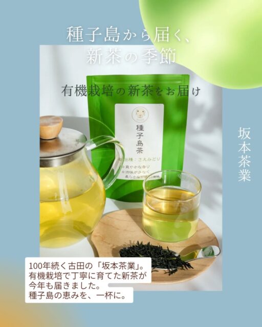 🌿新茶の季節🌿

種子島最大のお茶の産地、古田地区で100年続く【坂本茶業】。
@poweful.lovekun.712b

有機栽培にこだわった、香り豊かな種子島の新茶が今年も届きました！

のっちーよ種子島では、様々なお茶の味を楽しめる、飲み比べセットを販売しています。

新茶は今だけ！

ぜひ一度味わってみてください😊

オンラインショップへはプロフィールURL、またはハイライト「shop」から飛べます！

#新茶 #種子島茶 #坂本茶業