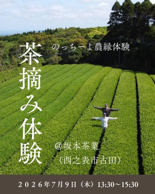 土と心がつながる、のっちーよ農縁体験 【茶摘み体験】 を開催します！【6/17募集終了】

日程：2026年7月9日(木)　13:30～15:30

集合場所：坂本茶業（西之表市古田1074-11）
@poweful.lovekun.712b

募集人数：10名程度

参加費：2,500円
（参加費に含まれるもの：体験代、材料代、茶菓子代、保険代）

服装・持ち物：
汚れてもよい服装（長袖・長ズボン）
汚れてもよい靴、軍手、帽子、タオル、水筒など

内容：茶摘み体験、茶葉を使った天ぷら作り、お茶の試飲会、紅茶作り体験
※雨天時は茶摘み以外の体験となります。

農家プロフィール：坂本茶業　坂本江里子、坂本達弥
お茶の産地として100年以上の歴史がある、西之表・古田でお茶業を営むご夫婦。「種子島茶をもっと広めたい」と、島内の茶農家で「Team和茶・わちゃ」を結成し、種子島にしかない希少品種など種茶（たねちゃ）の魅力を発信中。愛犬のキュートなパッケージが坂本茶業のトレードマーク。

★のっちーよ農縁体験とは
農家の暮らしを体験する農園体験と、つながりを意味する「縁」を掛け合わせた、のっちーよ種子島ならではの農業体験プログラムです。
農作業をしながら、農家さんとの交流を通じて、「またね」と言い合える関係性をつくる、土と心がつながる体験ができます。

#種子島 #農業体験 #茶摘み体験 #坂本茶業 #農家さんと繋がりたい