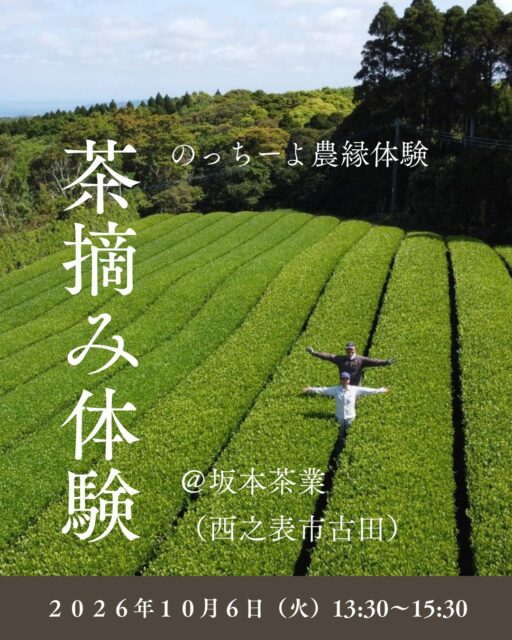 前回大好評だった茶摘み体験を10月にも開催します！

土と心がつながる、のっちーよ農縁体験「茶摘み体験」

日程：2026年10月6日(火)　13:30～15:30

集合場所：坂本茶業（西之表市古田1074-11）
@poweful.lovekun.712b 

募集人数：10名程度

参加費：2,500円
（参加費に含まれるもの：体験代、材料代、茶菓子代、保険代）

服装・持ち物：
汚れてもよい服装（長袖・長ズボン）
汚れてもよい靴、軍手、帽子、タオル、水筒など

内容：茶摘み体験、茶葉を使った天ぷら作り、お茶の試飲会、紅茶作り体験
※雨天時は茶摘み以外の体験となります。

農家プロフィール：坂本茶業　坂本江里子、坂本達弥
お茶の産地として100年以上の歴史がある、西之表・古田でお茶業を営むご夫婦。「種子島茶をもっと広めたい」と、島内の茶農家で「Team和茶・わちゃ」を結成し、種子島にしかない希少品種など種茶（たねちゃ）の魅力を発信中。愛犬のキュートなパッケージが坂本茶業のトレードマーク。

★のっちーよ農縁体験とは
農家の暮らしを体験する農園体験と、つながりを意味する「縁」を掛け合わせた、のっちーよ種子島ならではの農業体験プログラムです。
農作業をしながら、農家さんとの交流を通じて、「またね」と言い合える関係性をつくる、土と心がつながる体験ができます。

#種子島 #農業体験 #茶摘み体験 #坂本茶業 #農家さんと繋がりたい