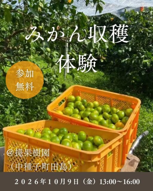 農業のお手伝い体験を通して、農家さんと繋がってみませんか？

お申し込みは、ハイライト「農業体験会」のURLから！

#農業体験 #農家さんと繋がりたい #種子島 #みかん収穫体験