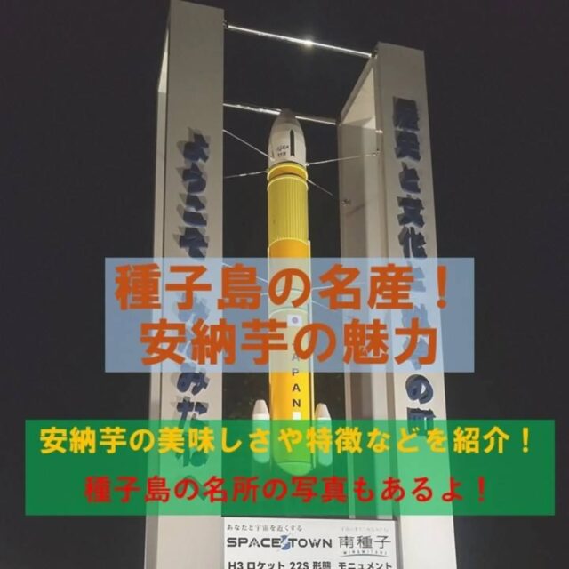 種子島で有名な安納芋の美味しさや特徴が載ってます！
種子島の名所の写真も添えてあるのでぜひご覧ください😊

作成者：たくと（2026年8月ボランティア参加者）
