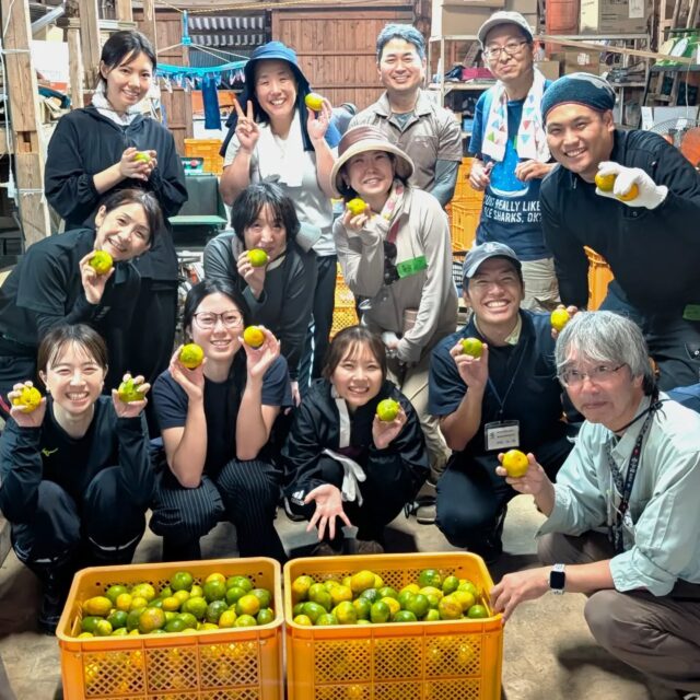 秋の農業お手伝い体験【みかん収穫体験＠提果樹園】

種子島で一番早く採れる柑橘、「早生温州みかん」の収穫体験を行いました！
当日は雨予報が心配されましたが、参加者みなさまのおかげで、目標の園地は雨が降る直前で全て採り切ることができました！

収穫しながら食べていいですよ～と、生産者の提さんから嬉しいお言葉が♡
すごく瑞々しく、その美味しさにみなさんビックリ！目を丸くして「おいしい！！」と喜んでおられました(^^)

雨が降ってからは倉庫で選別作業も体験させていただきました。
ひとつひとつ、人の手と目で選別していることに、参加者のみなさんも難しさと大変さを実感されたようです。

機械化やAIが進んでも、まだまだ人の手が必要な農作業。
なかなか農家さんと触れ合う機会も少ない種子島ですが、この体験を通して、生産者と消費者がつながることが出来たかなと思います。

参加してくださったみなさま、ありがとうございました！

#種子島 #農業体験 #みかん #収穫体験 #提果樹園