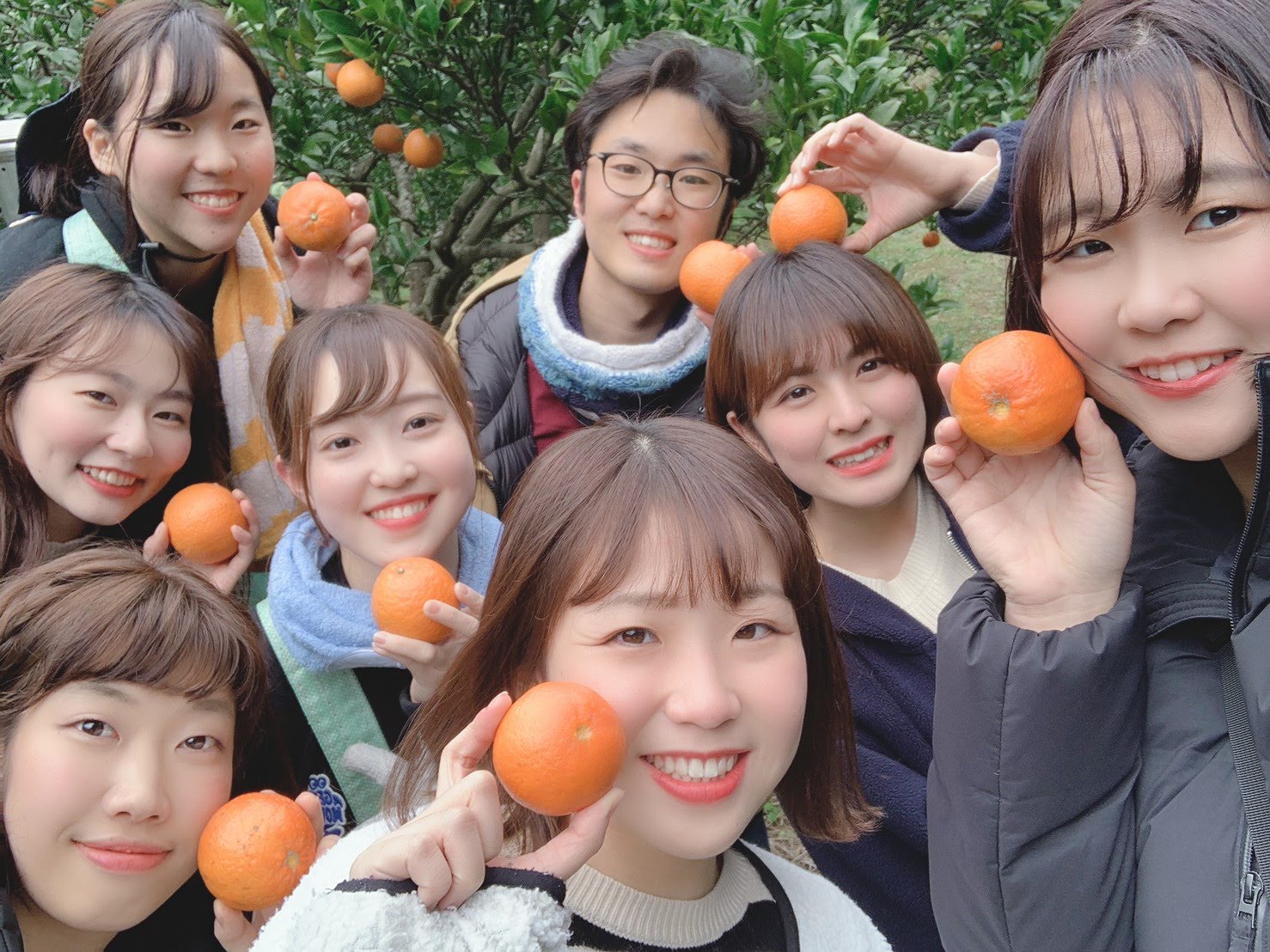 村おこしボランティア
