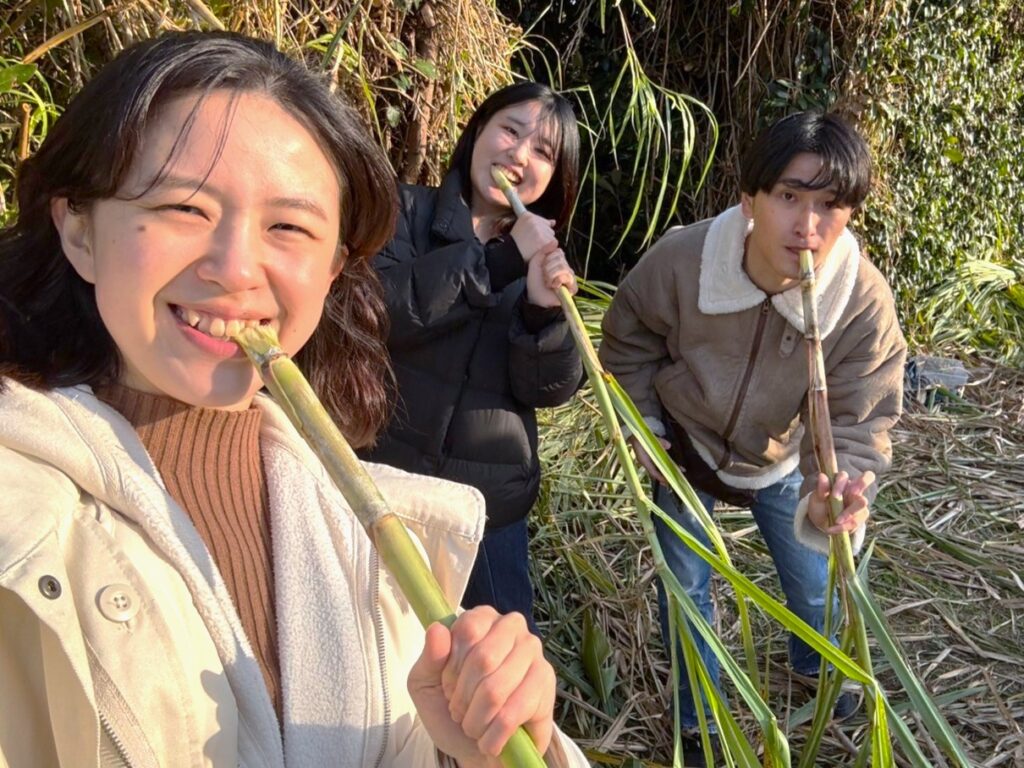 サトウキビ体験